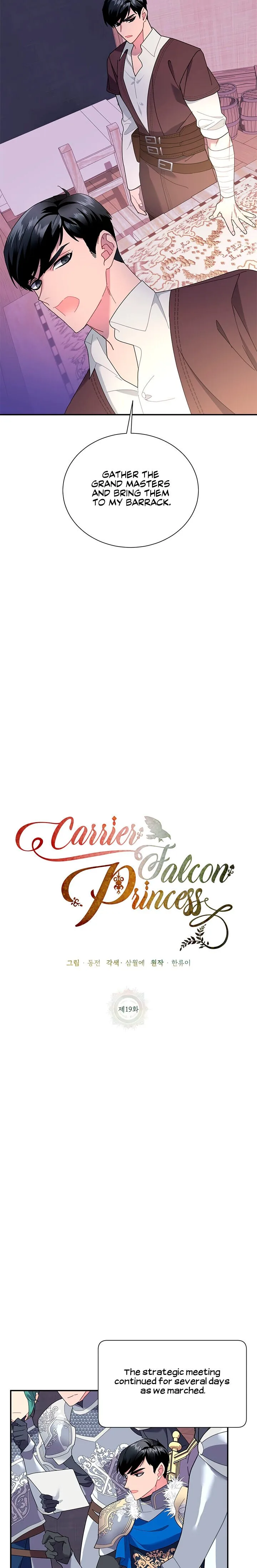 Cavier Falcon Princess Chapter 19 page 11