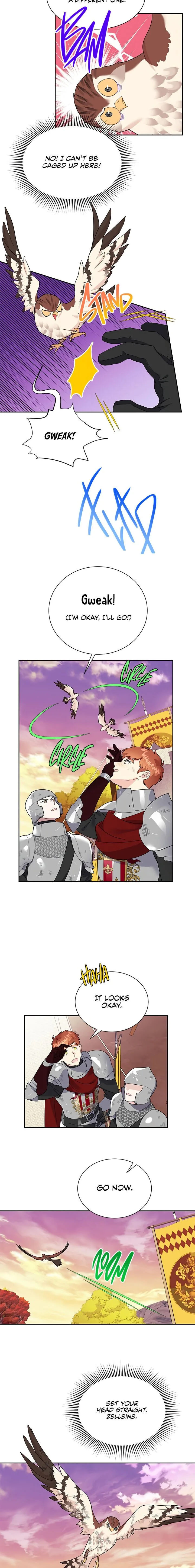 Cavier Falcon Princess Chapter 15 page 12