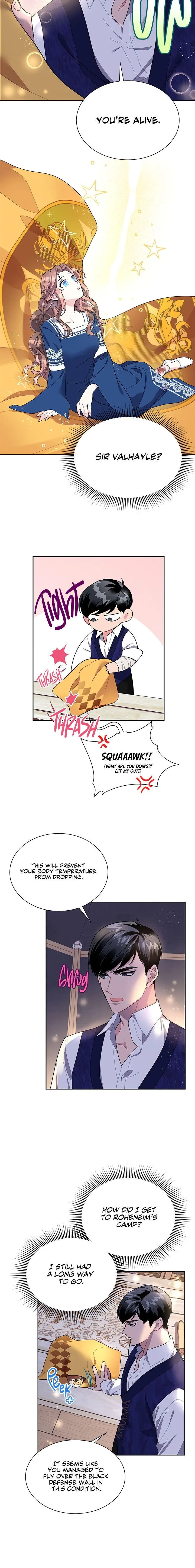 Cavier Falcon Princess Chapter 16 page 14