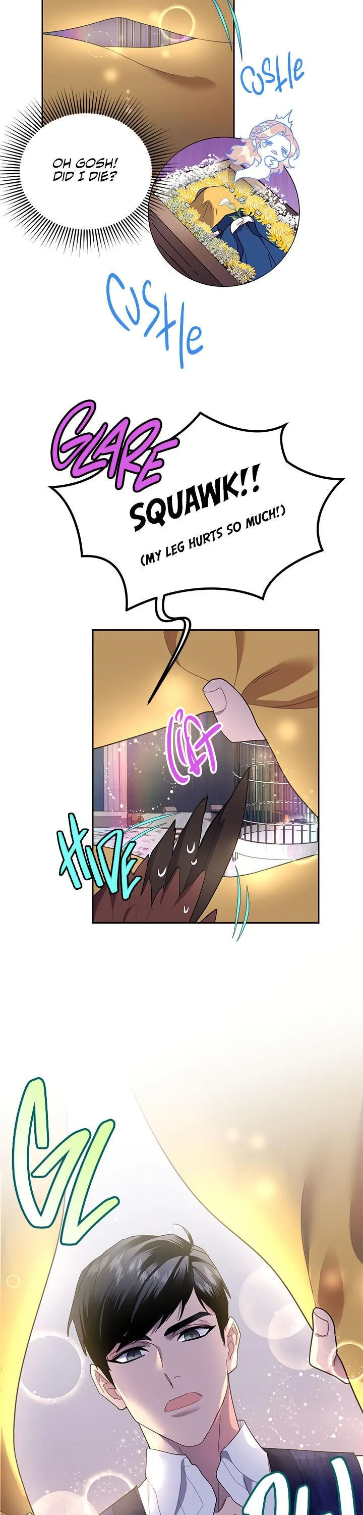 Cavier Falcon Princess Chapter 16 page 13