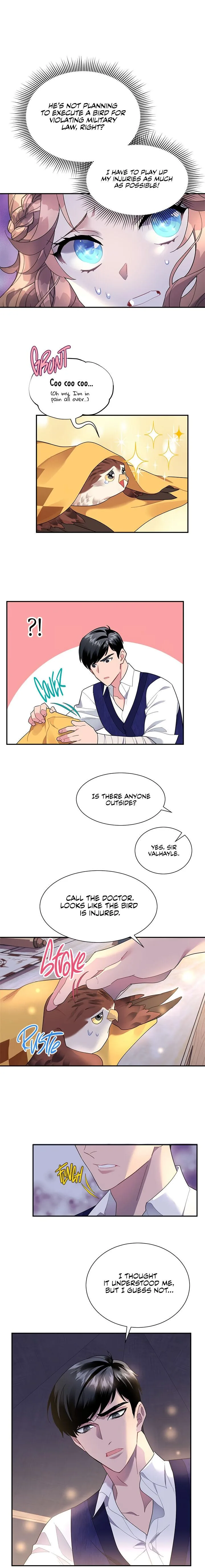 Cavier Falcon Princess Chapter 16 page 17