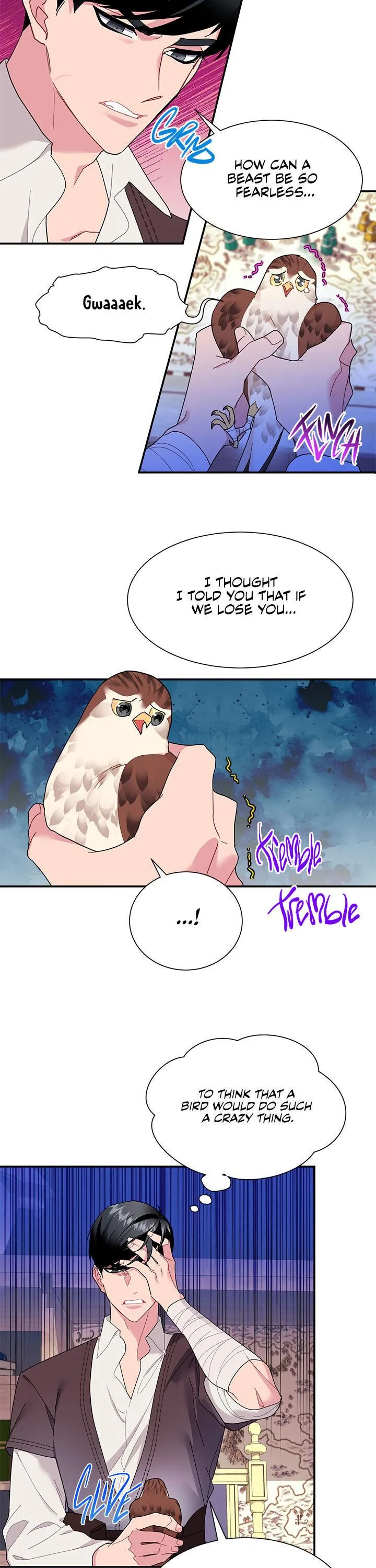 Cavier Falcon Princess Chapter 18 page 9