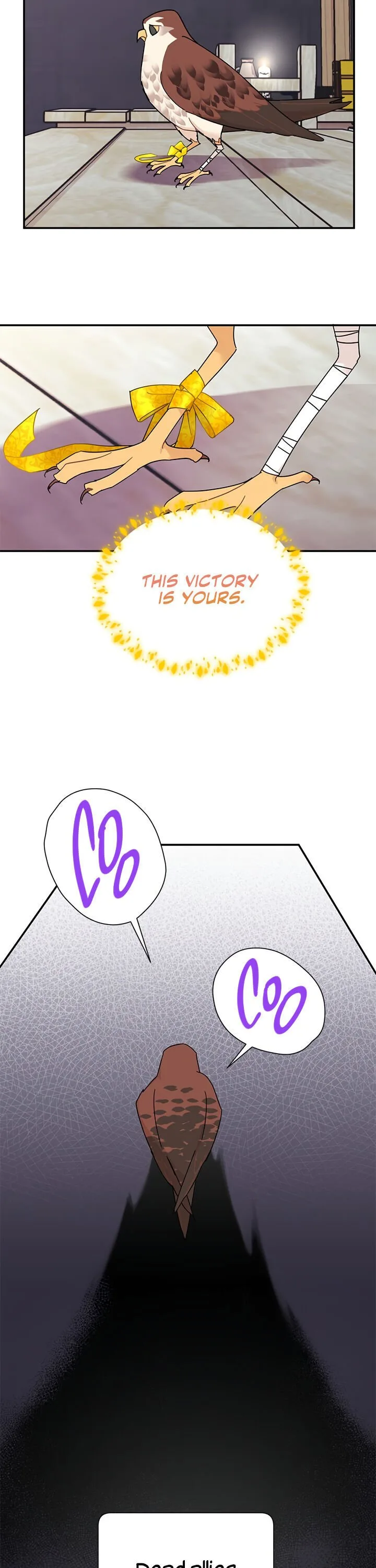 Cavier Falcon Princess Chapter 22 page 16