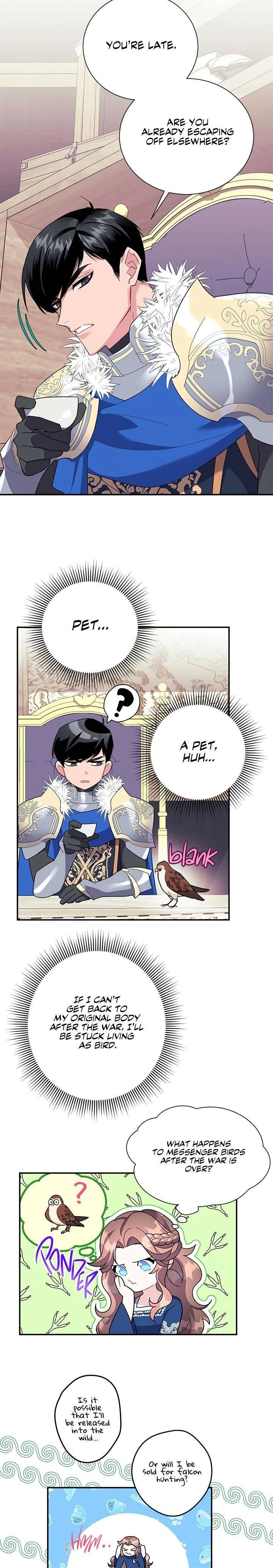 Cavier Falcon Princess Chapter 20 page 8