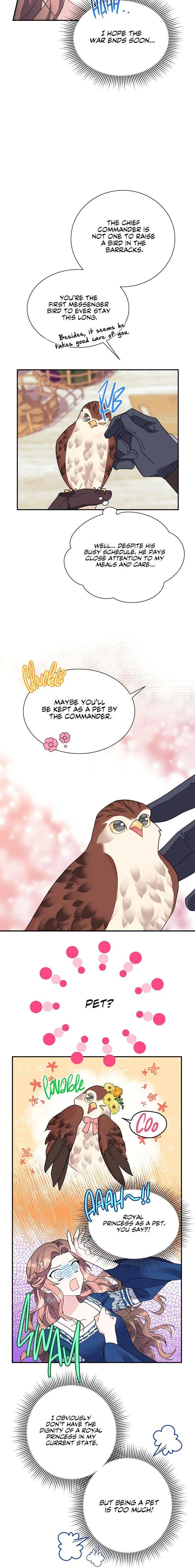 Cavier Falcon Princess Chapter 20 page 6