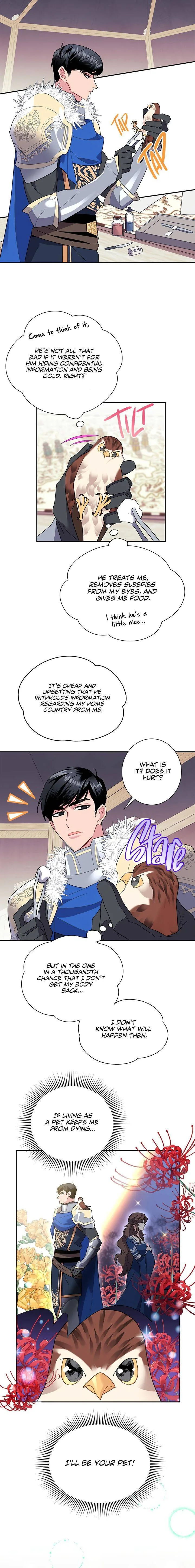 Cavier Falcon Princess Chapter 20 page 10