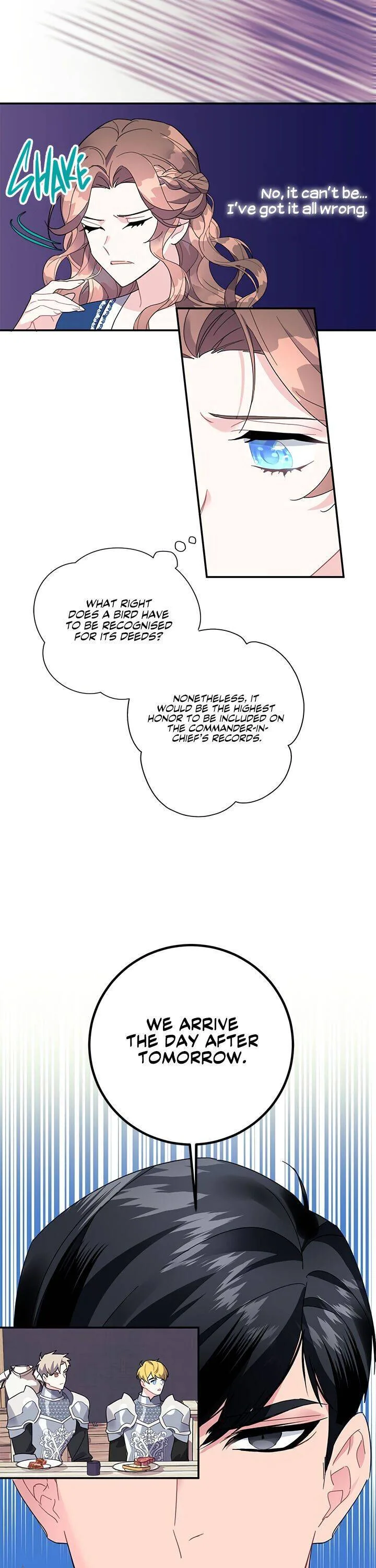 Cavier Falcon Princess Chapter 20 page 25