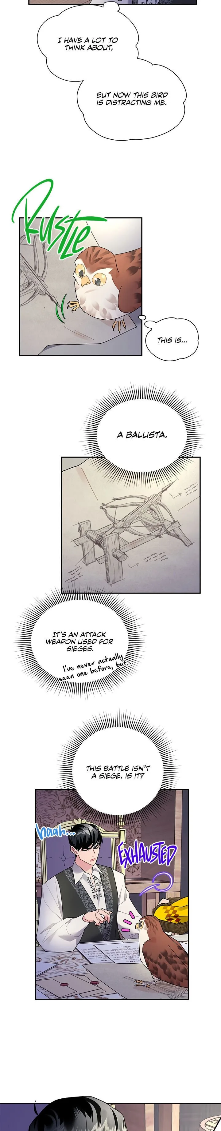 Cavier Falcon Princess Chapter 21 page 4