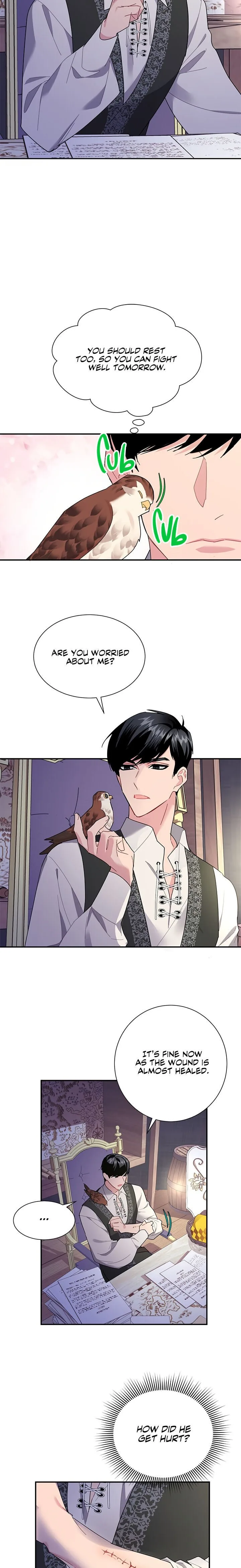 Cavier Falcon Princess Chapter 21 page 6