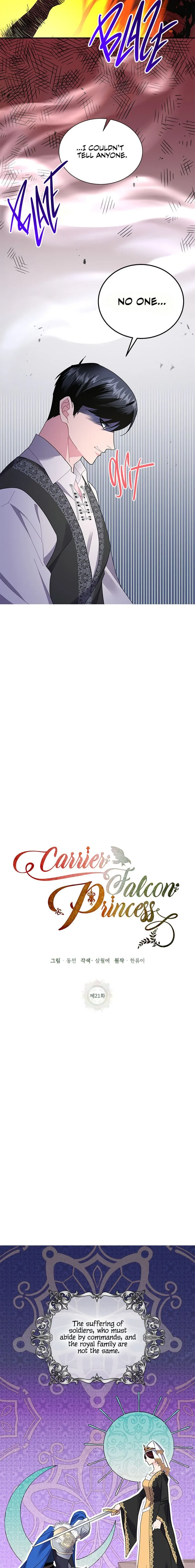 Cavier Falcon Princess Chapter 21 page 19