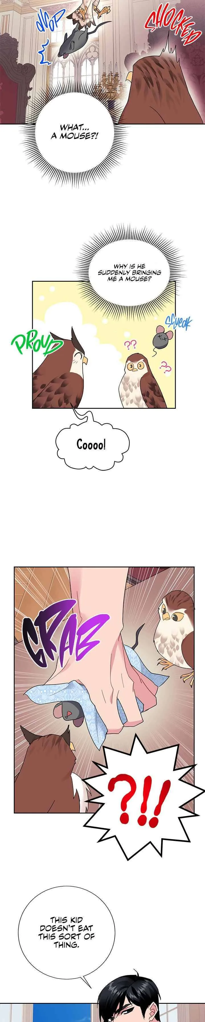 Cavier Falcon Princess Chapter 24 page 20