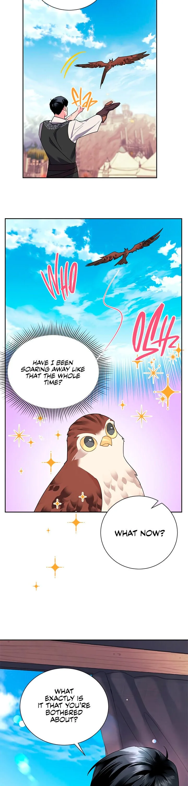 Cavier Falcon Princess Chapter 23 page 11