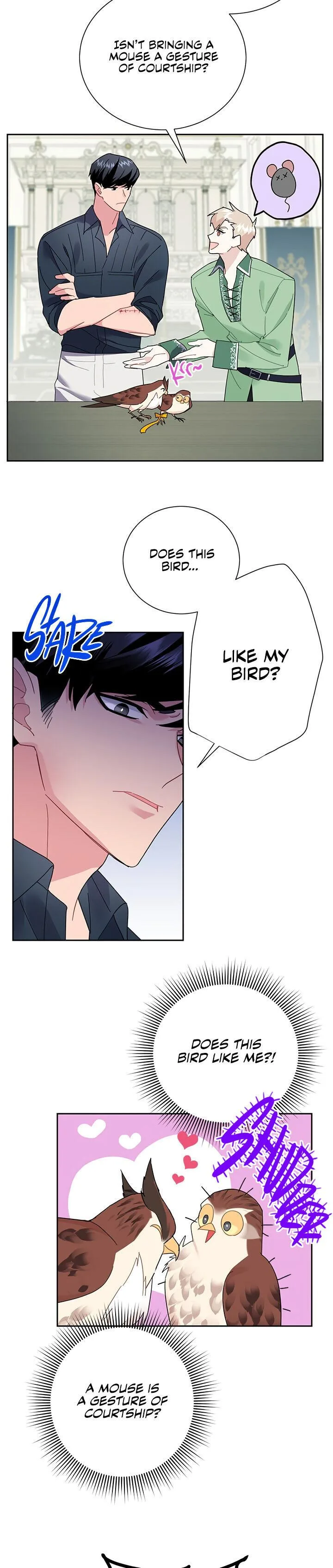Cavier Falcon Princess Chapter 25 page 3