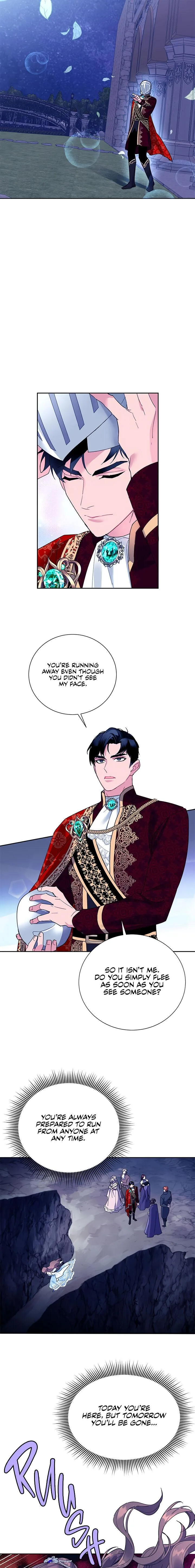 Cavier Falcon Princess Chapter 28 page 9