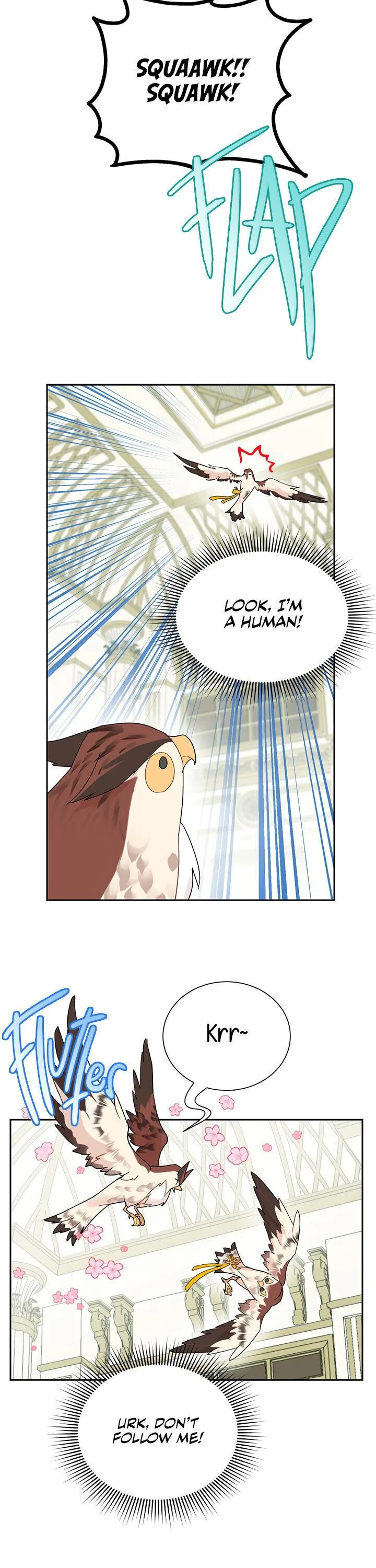 Cavier Falcon Princess Chapter 25 page 4