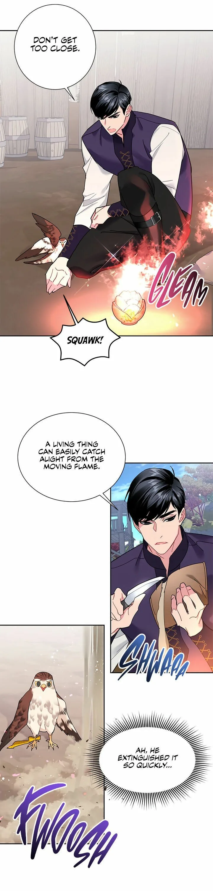 Cavier Falcon Princess Chapter 31 page 9