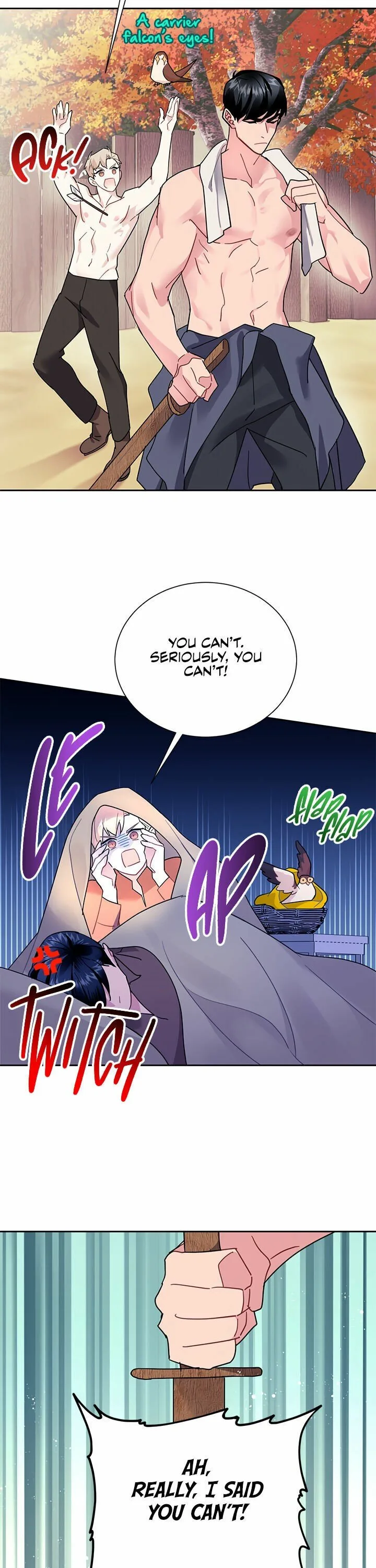 Cavier Falcon Princess Chapter 31 page 19
