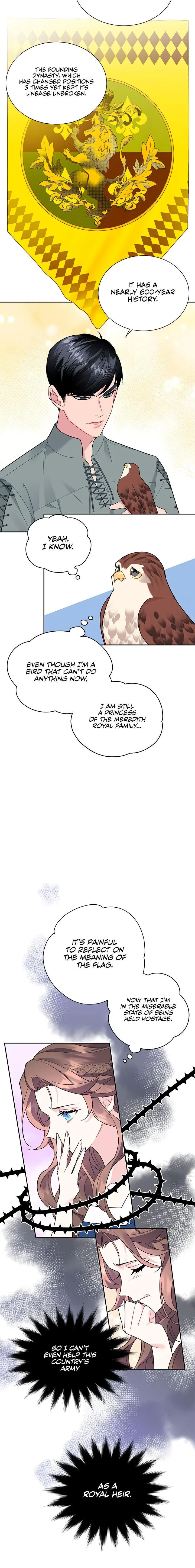 Cavier Falcon Princess Chapter 28 page 17