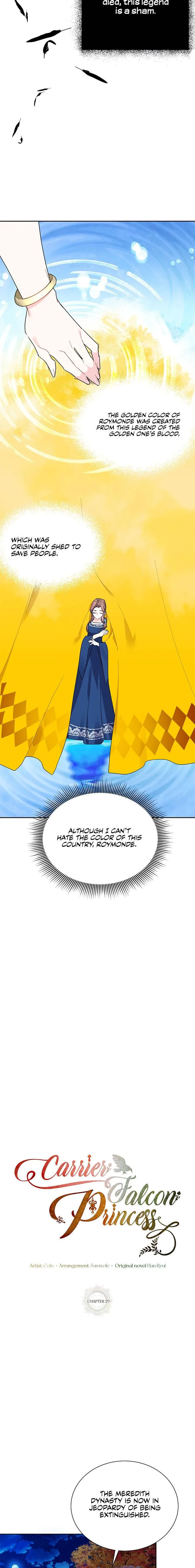 Cavier Falcon Princess Chapter 29 page 12