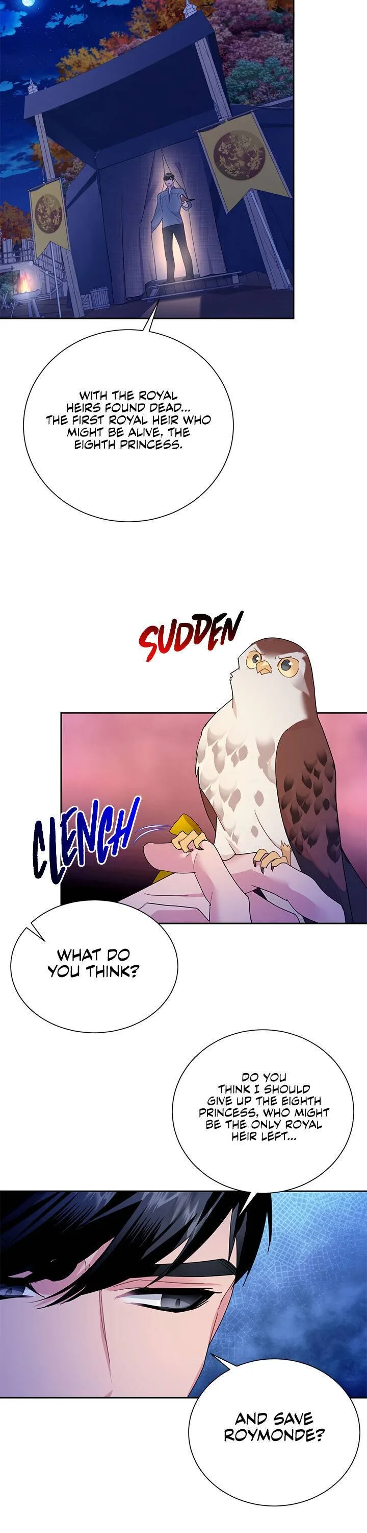 Cavier Falcon Princess Chapter 29 page 13