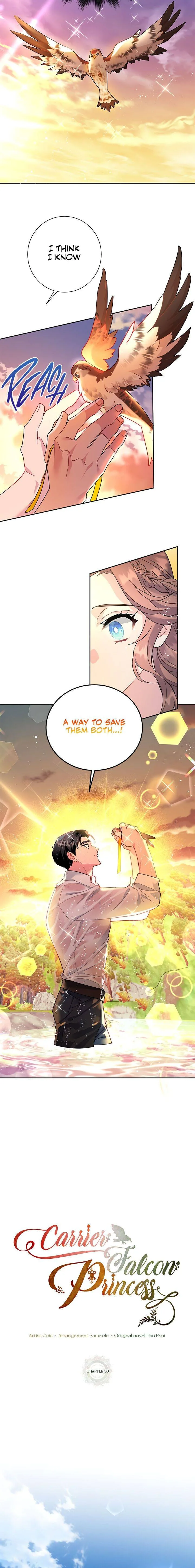 Cavier Falcon Princess Chapter 30 page 13