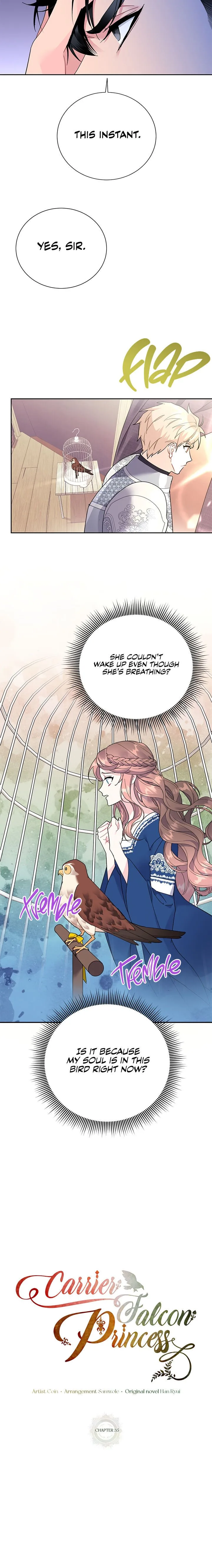 Cavier Falcon Princess Chapter 35 page 13