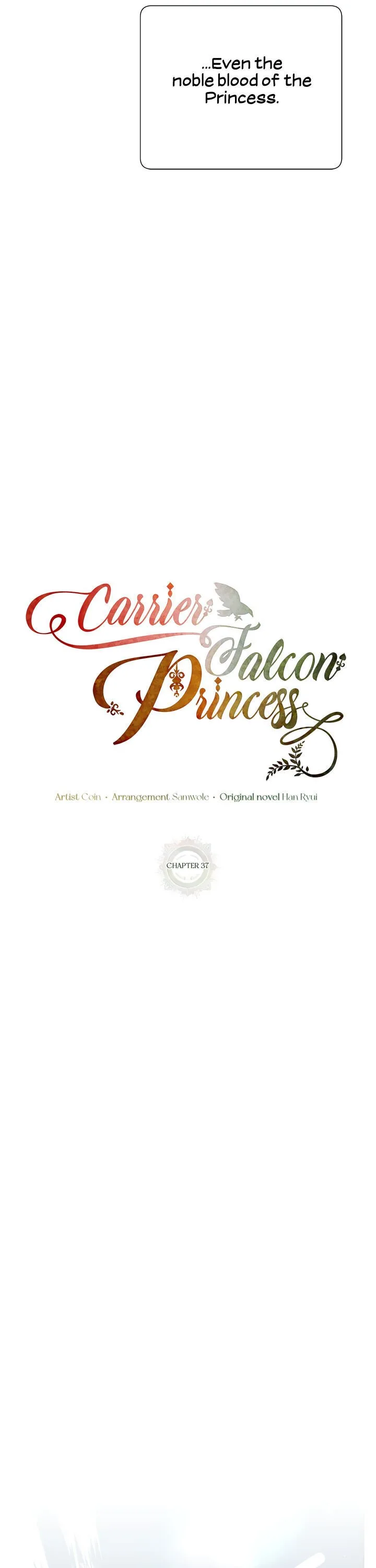 Cavier Falcon Princess Chapter 37 page 18