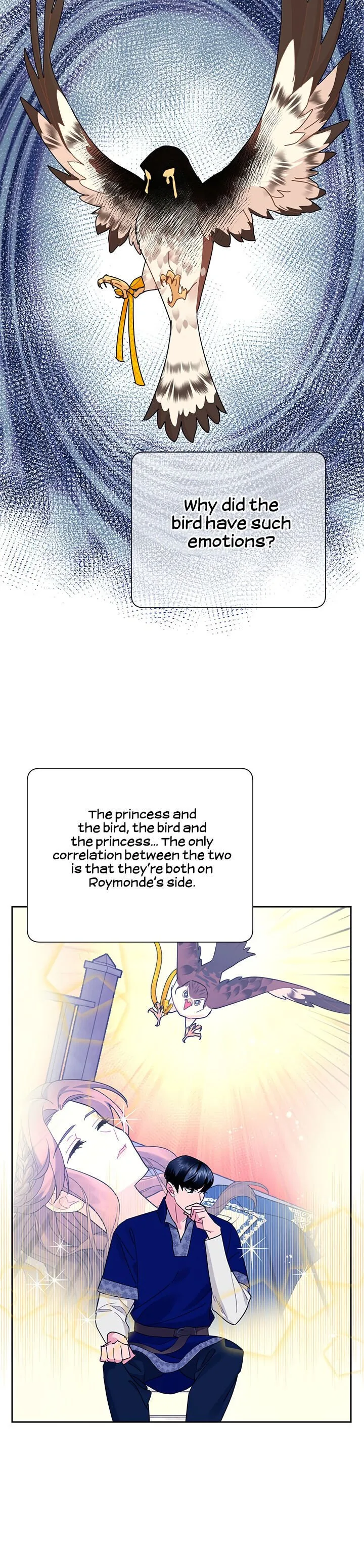 Cavier Falcon Princess Chapter 37 page 12