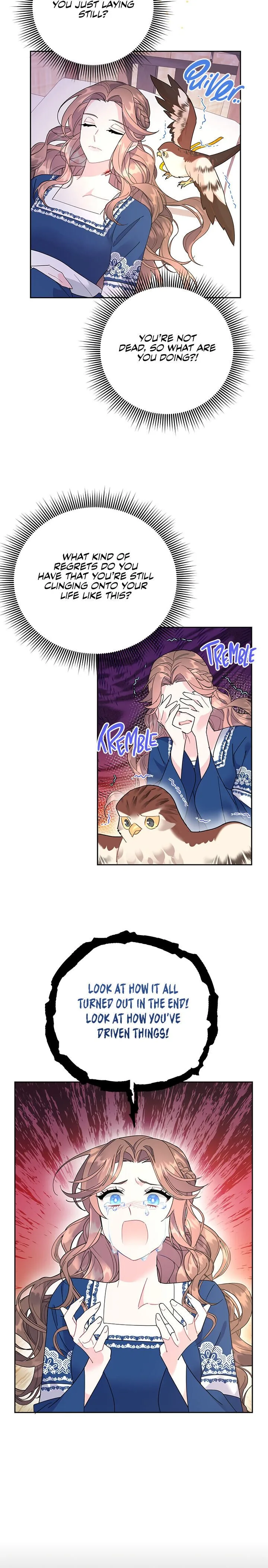 Cavier Falcon Princess Chapter 37 page 3