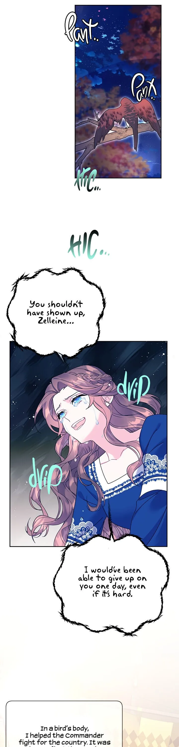 Cavier Falcon Princess Chapter 37 page 21