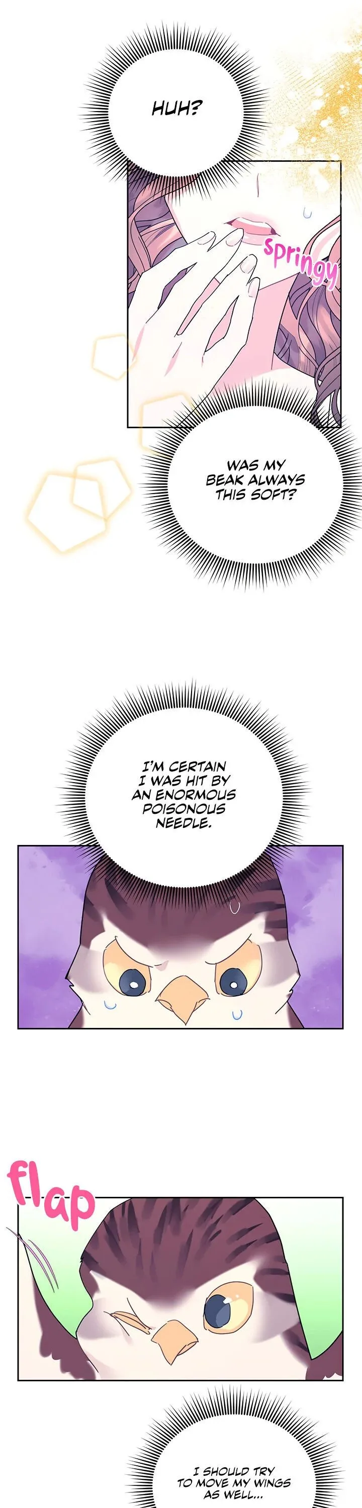 Cavier Falcon Princess Chapter 39 page 9