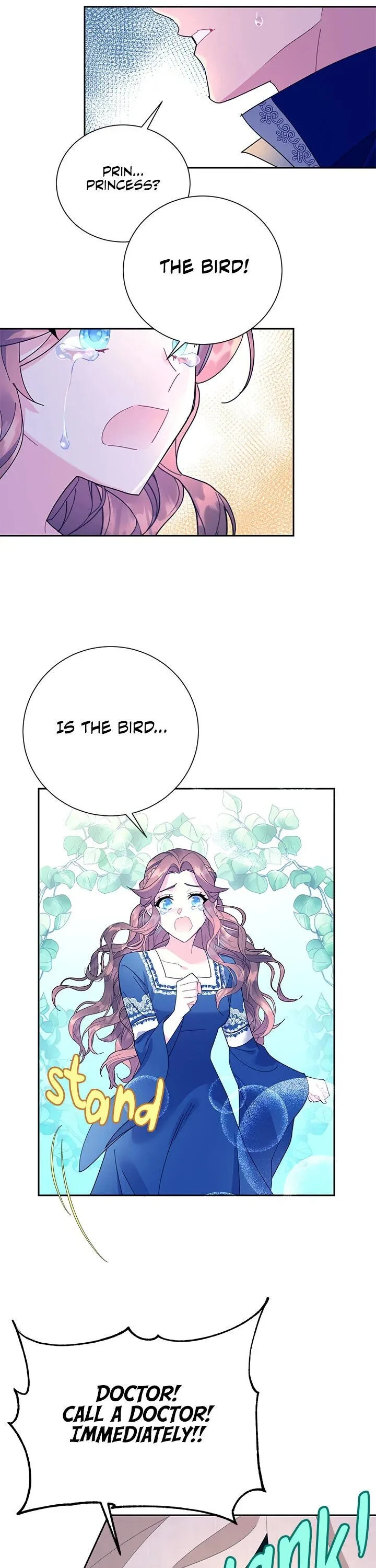Cavier Falcon Princess Chapter 39 page 17