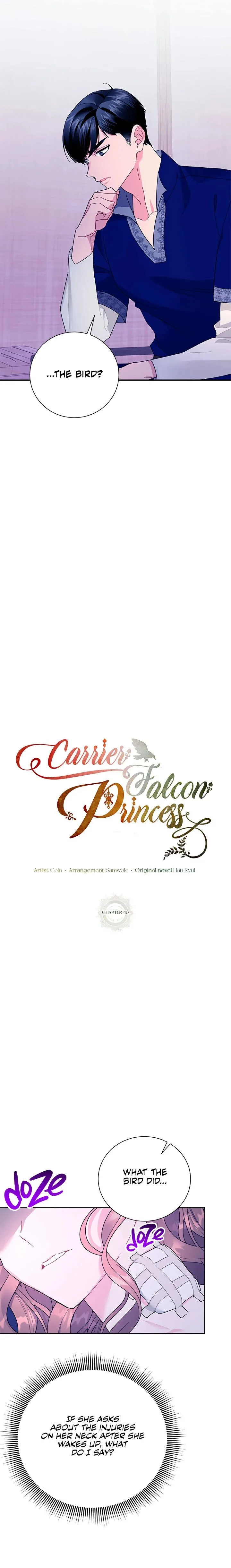 Cavier Falcon Princess Chapter 40 page 10