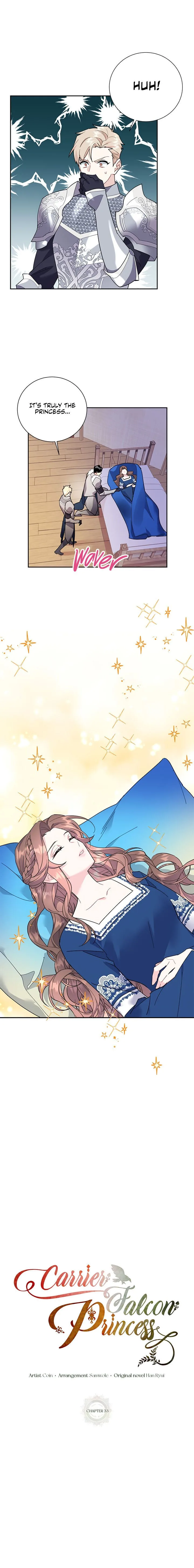 Cavier Falcon Princess Chapter 33 page 14