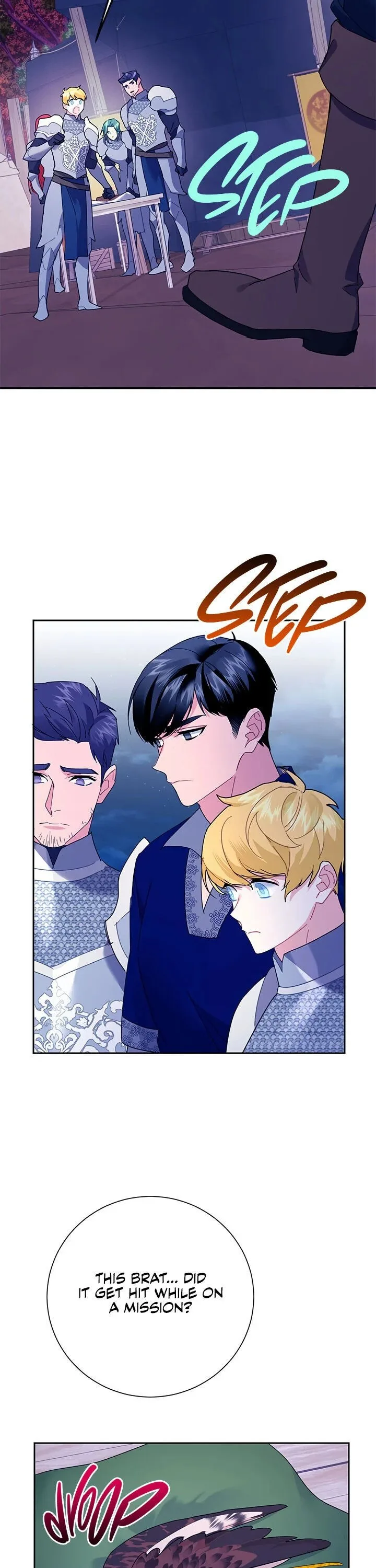 Cavier Falcon Princess Chapter 38 page 18