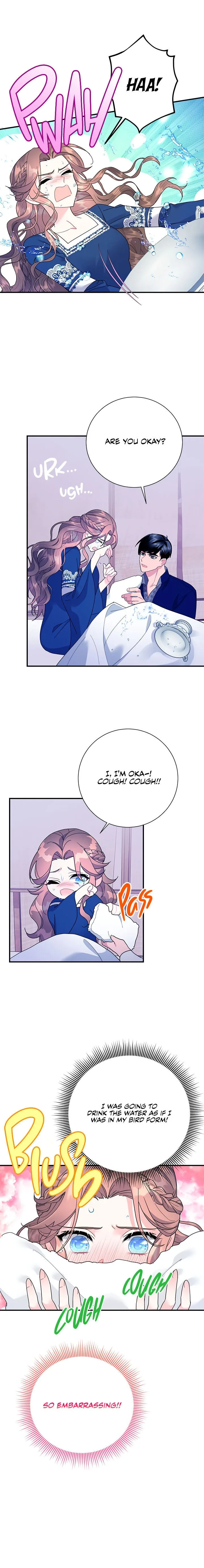 Cavier Falcon Princess Chapter 42 page 3