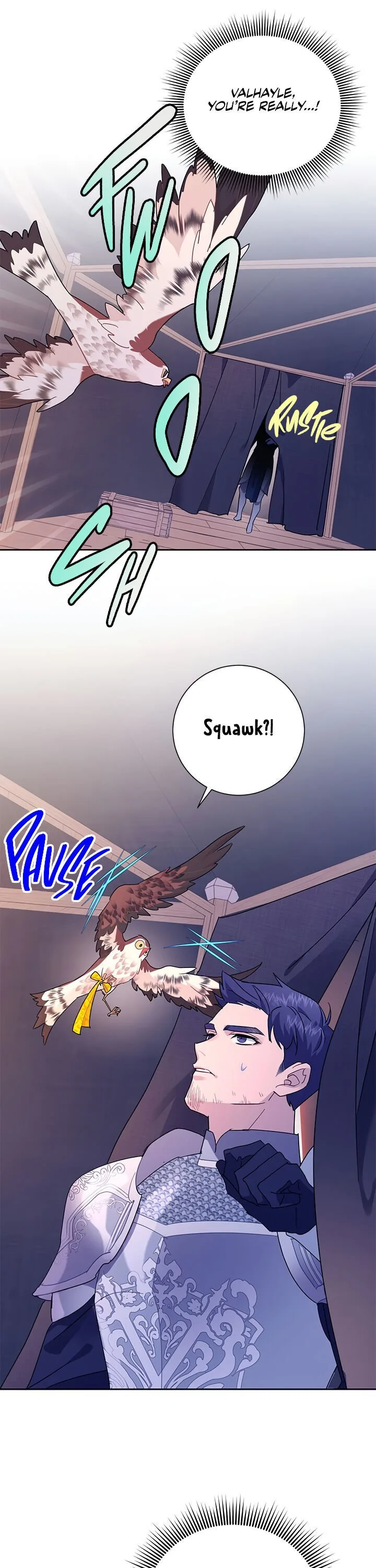 Cavier Falcon Princess Chapter 33 page 17