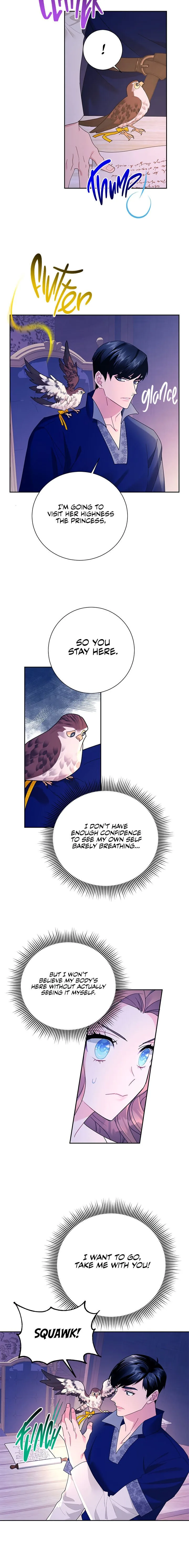 Cavier Falcon Princess Chapter 36 page 14