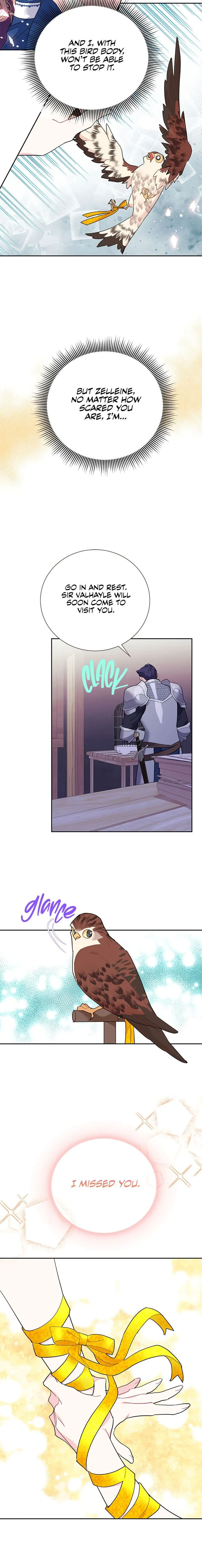 Cavier Falcon Princess Chapter 33 page 22