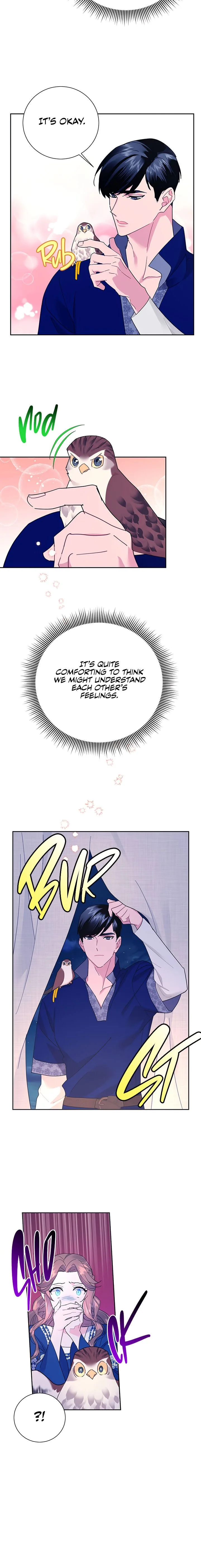 Cavier Falcon Princess Chapter 36 page 19