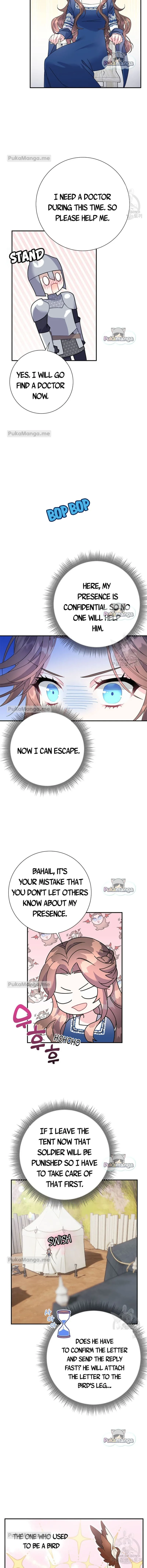 Cavier Falcon Princess Chapter 45 page 4