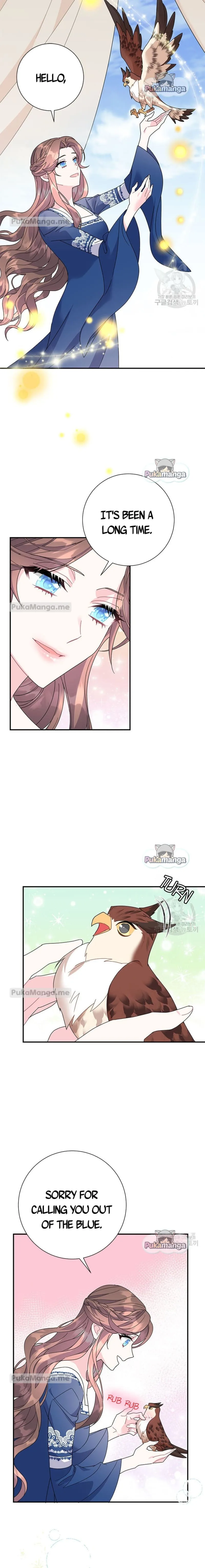 Cavier Falcon Princess Chapter 45 page 7