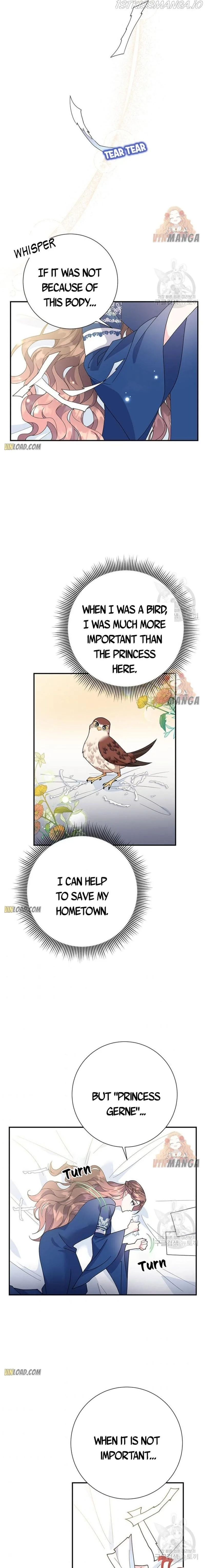 Cavier Falcon Princess Chapter 46 page 12