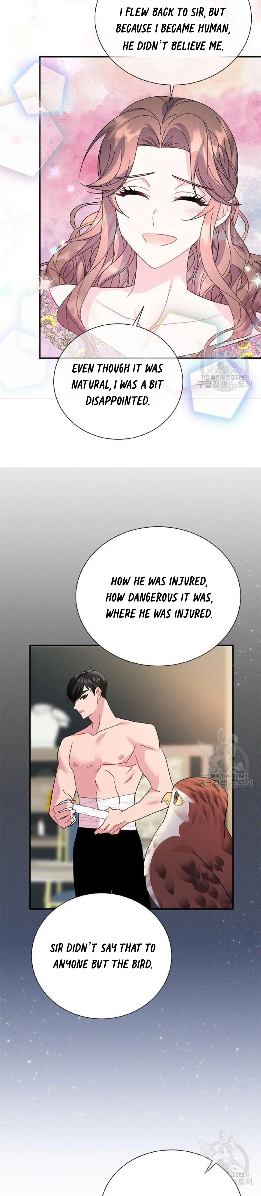 Cavier Falcon Princess Chapter 59 page 14