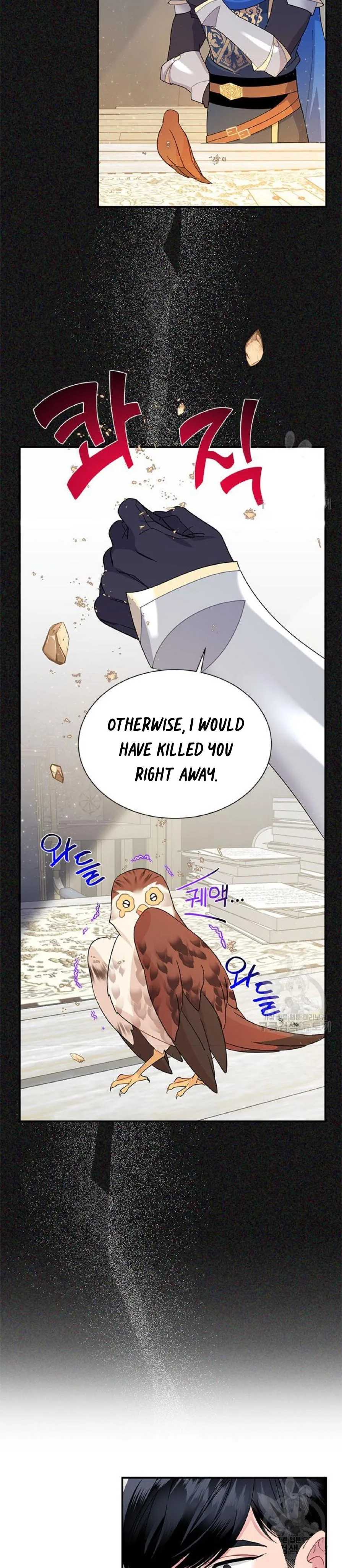 Cavier Falcon Princess Chapter 59 page 24