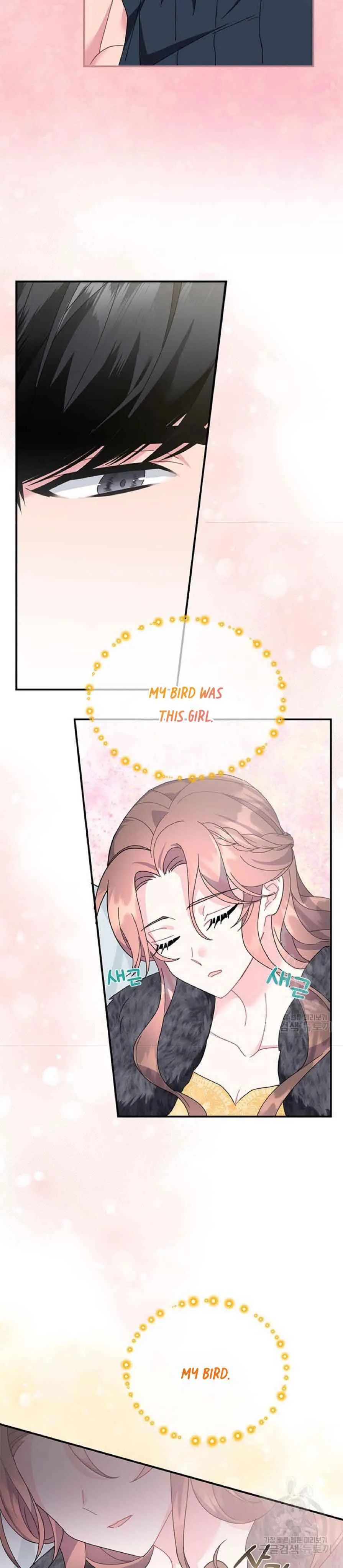 Cavier Falcon Princess Chapter 62 page 5