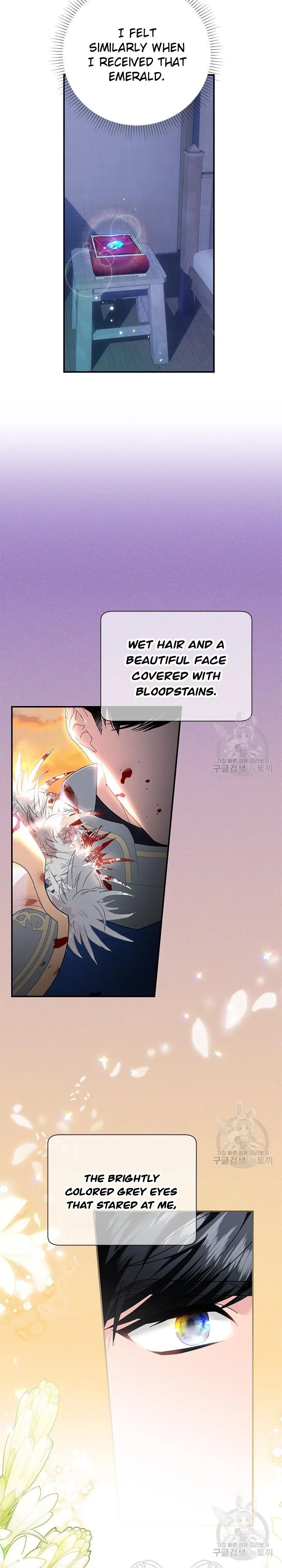Cavier Falcon Princess Chapter 71 page 6