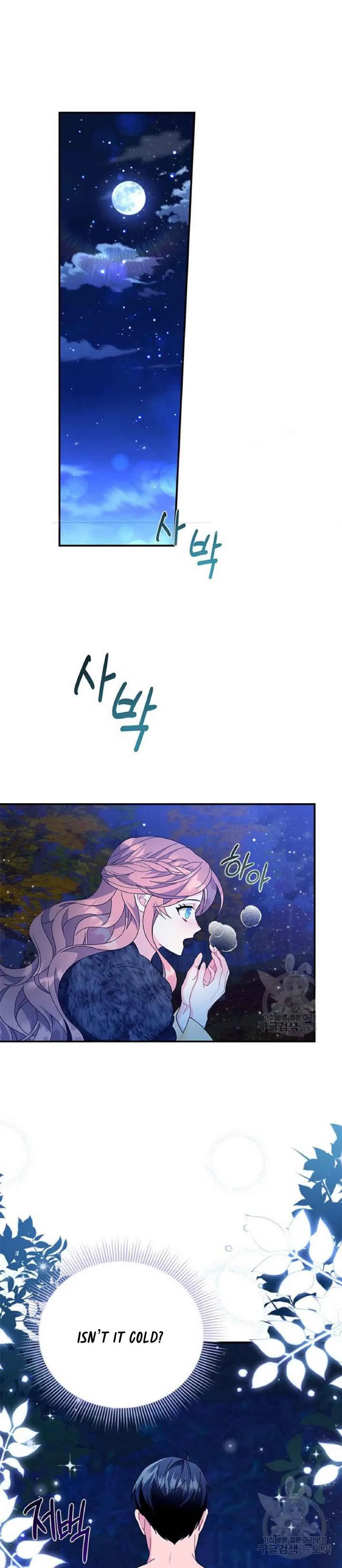 Cavier Falcon Princess Chapter 62 page 13
