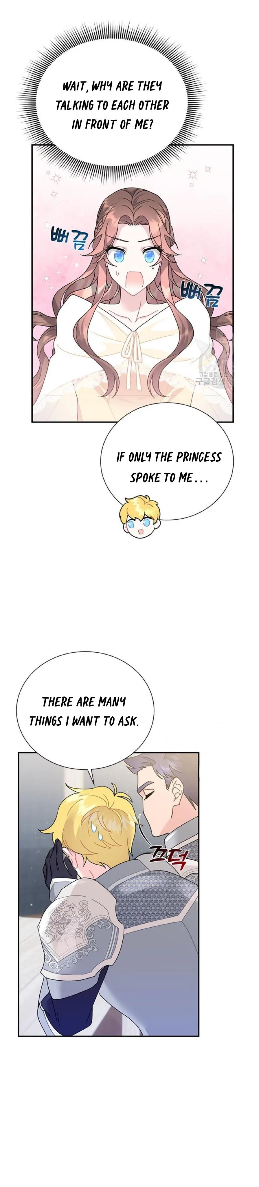 Cavier Falcon Princess Chapter 63 page 5