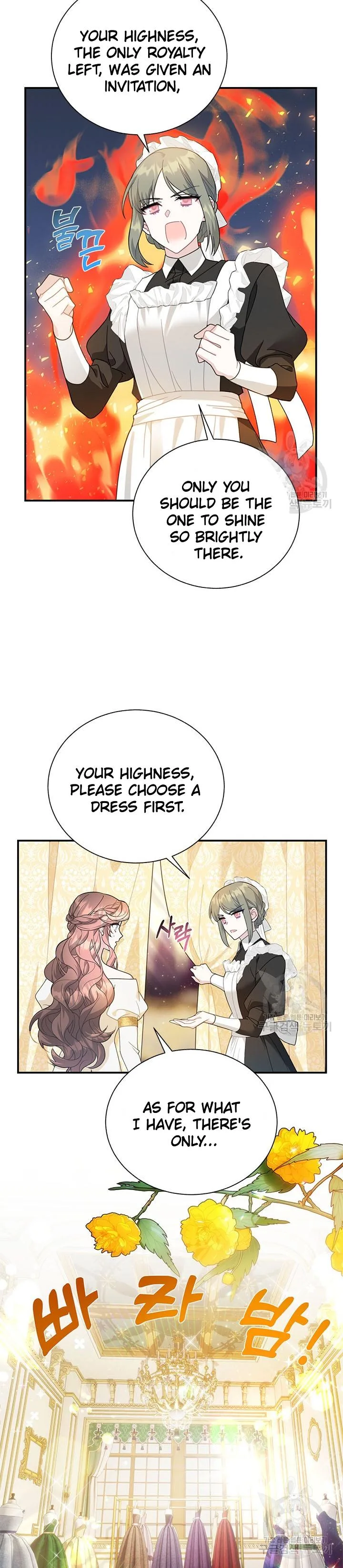 Cavier Falcon Princess Chapter 73 page 3